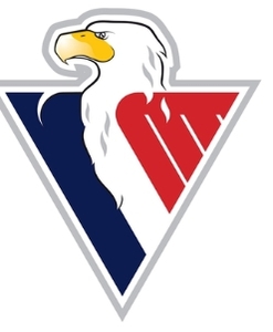 Silicone magnet eagle HC Slovan 